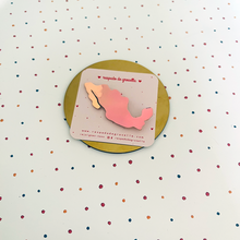 Charger l'image dans la galerie, Broche carte du Mexique