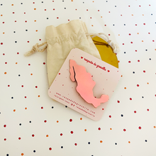 Charger l'image dans la galerie, Broche carte du Mexique