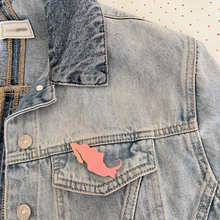 Charger l'image dans la galerie, Broche carte du Mexique